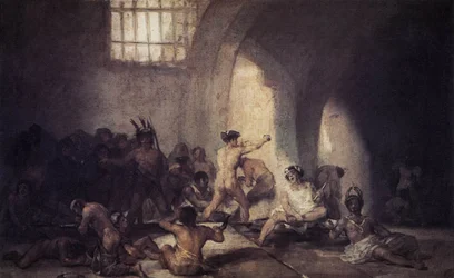Il manicomio